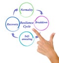 Components of Resilience Cycle