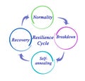 Components of Resilience Cycle