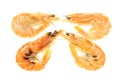 Four crevettes Royalty Free Stock Photo