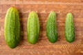 Four Cucumbers