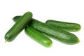 Four cucumbers on white.