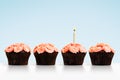 Row of cupcakes with a single lit candle isolated on blue Royalty Free Stock Photo