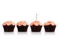 Row of cupcakes with a single lit candle isolated on white Royalty Free Stock Photo