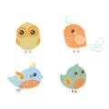 Four Cute Bird Chicks Set