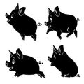 Four cute cartoon pigs. Set of black silhouettes