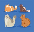four cute cats mascots Royalty Free Stock Photo