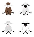Four cute lambs