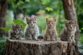 Four cute little cats sitting on a tree stump Ai photo Royalty Free Stock Photo