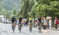 Four Cyclists Riding in the Rain