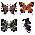 Four decorative butterflies Royalty Free Stock Photo