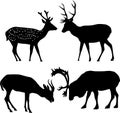 Four deer silhouettes