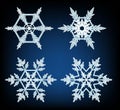 Four designs of snowflakes on blue background