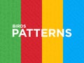 Four different Birds seamless patterns with thin line icons: dove, owl, penguin, sparrow, swallow, kiwi, parrot, eagle, humming Royalty Free Stock Photo