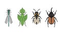 Four different insect illustrations displayed in a minimalist style composition Royalty Free Stock Photo