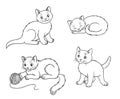 Four different kittens in outlines - vector illustration Royalty Free Stock Photo