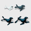 Four different sea lion, white, grey and blue