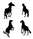 Rearing horse Silhouette 