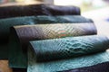 Four different tones of trendy green painted snake python skin surface Royalty Free Stock Photo