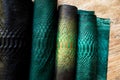 Four different tones of trendy green painted snake python skin surface Royalty Free Stock Photo