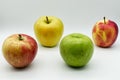 Four different varieties of ripe apples isolated on white background Royalty Free Stock Photo