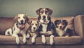 Four dogs lying on the couch looking at camera. Lovely pets. Domestic life. Vintage style.