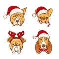 Four dogs in a Santa Claus hat