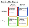Domains of Emotional Intelligence Royalty Free Stock Photo