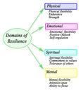 Domains of Personal Resilience