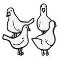 Four doves Royalty Free Stock Photo