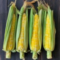 Four Ears of Corn on a Dark Wooden Surface Royalty Free Stock Photo