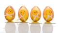 Four easter chickens in shell Royalty Free Stock Photo