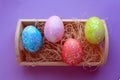 colorful Easter eggs in nesting box on purple background Royalty Free Stock Photo