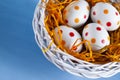 Four easter eggs in the basket on blue background Royalty Free Stock Photo