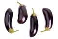 Four eggplant on white background close up isolated top view Royalty Free Stock Photo