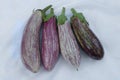 Four eggplants with waterdrops Royalty Free Stock Photo