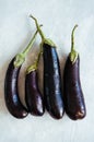 Four eggplants on a white stone background Royalty Free Stock Photo
