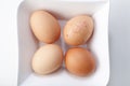 Four eggs Royalty Free Stock Photo