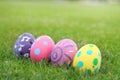 Four eggs painted pastel line in the grass background. Royalty Free Stock Photo