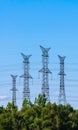 Four electrical towers on sky behind trees