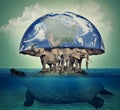 Four elephants carries the earth upon their backs stand on World turtle