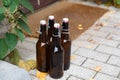 Four empty beer bottles Royalty Free Stock Photo