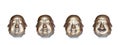 Four faces of the same Buddha head Royalty Free Stock Photo
