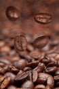 Four falling beans and roasted coffee Royalty Free Stock Photo