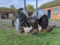 Four farmyard chickens around an old farm tractor