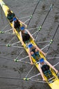 Four female rowers competing in regatta race in a yellow boat.  Cox with back to camera Royalty Free Stock Photo