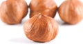 Four filbert nuts Royalty Free Stock Photo
