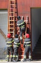 four firefighters in action during the exercise in the fire stat Royalty Free Stock Photo