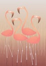 Four Flamingos Illustration Royalty Free Stock Photo