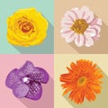 Four flowers, vector illustration Royalty Free Stock Photo