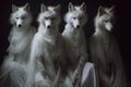 Four foxes in long white dresses stand , concept of Fashionable animals, created with Generative AI technology